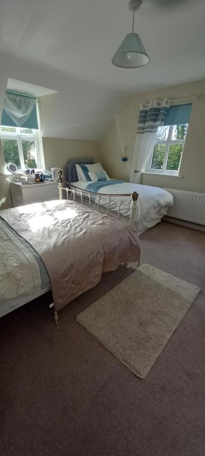 Large Family Home In Wexford Marys B&B Enniscorthy Exterior foto