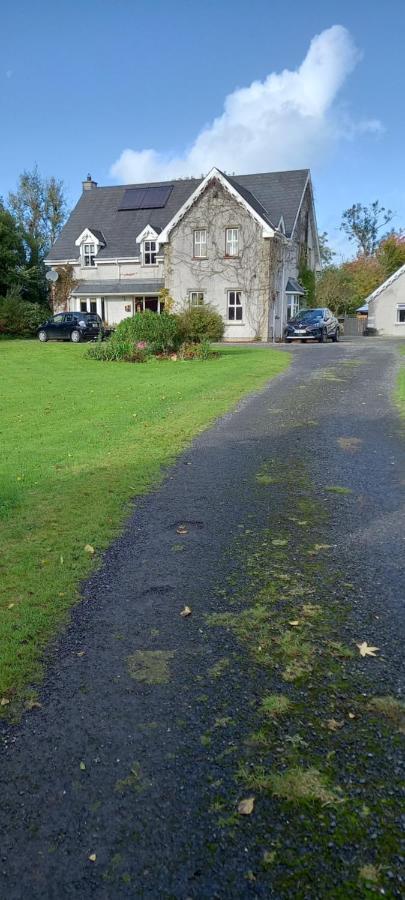 Large Family Home In Wexford Marys B&B Enniscorthy Exterior foto