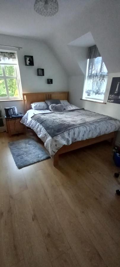 Large Family Home In Wexford Marys B&B Enniscorthy Exterior foto