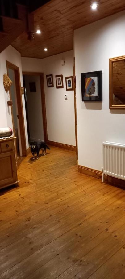 Large Family Home In Wexford Marys B&B Enniscorthy Exterior foto