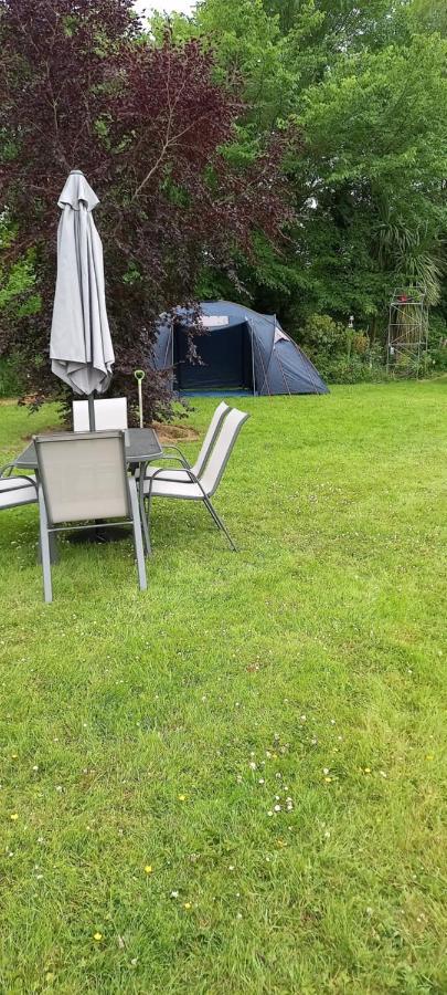 Large Family Home In Wexford Marys B&B Enniscorthy Exterior foto
